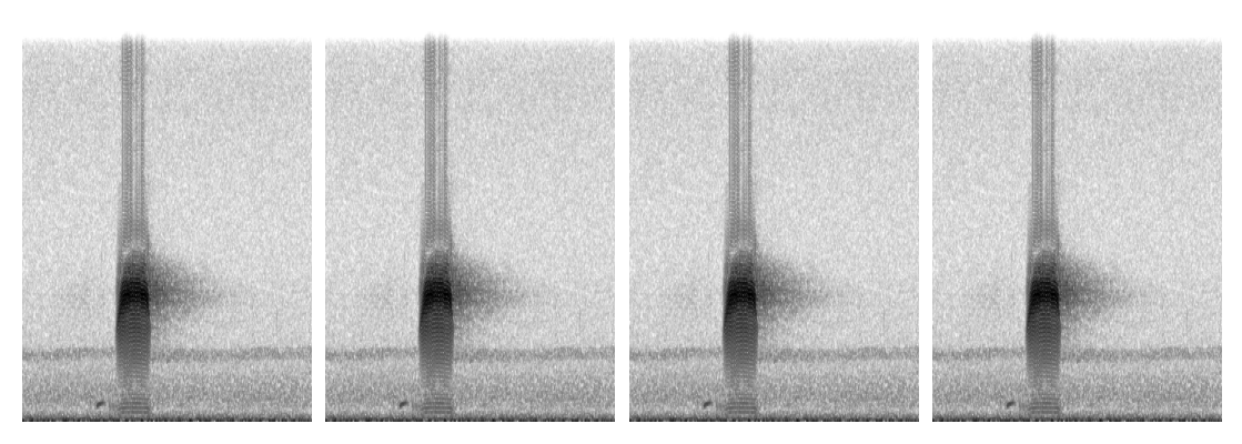 ../_images/tutorials_preprocess_audio_dataset_60_1.png