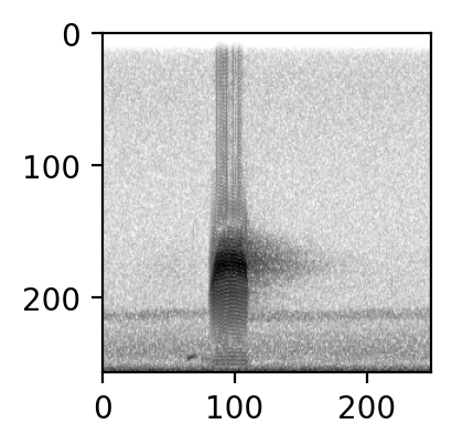 ../_images/tutorials_preprocess_audio_dataset_93_0.png