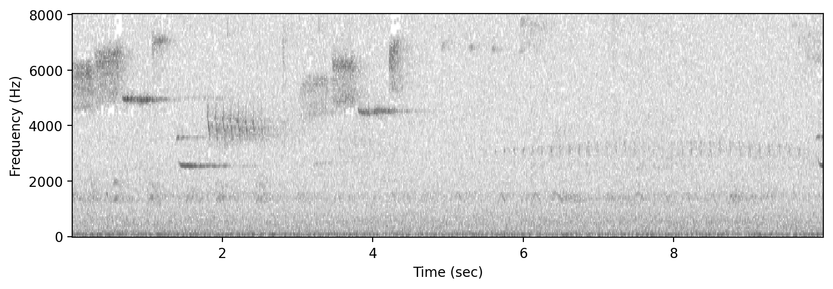 ../_images/tutorials_signal_processing_15_1.png