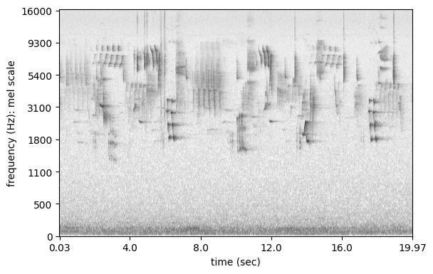 ../_images/tutorials_spectrogram_24_0.png