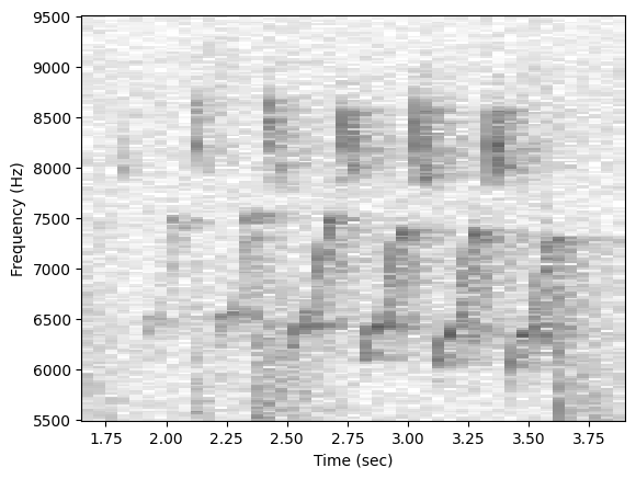 ../_images/tutorials_spectrogram_33_0.png