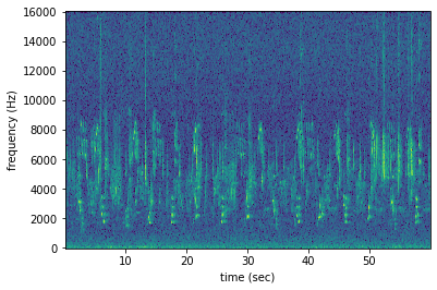 _images/audio_and_spectrogram_40_0.png