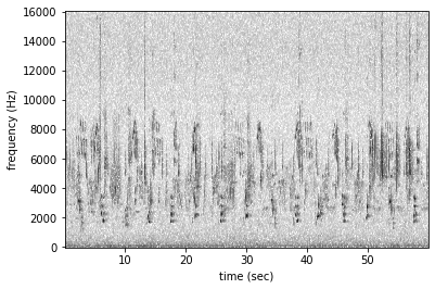 ../_images/tutorials_audio_and_spectrogram_41_0.png