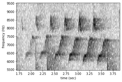 ../_images/tutorials_audio_and_spectrogram_57_0.png
