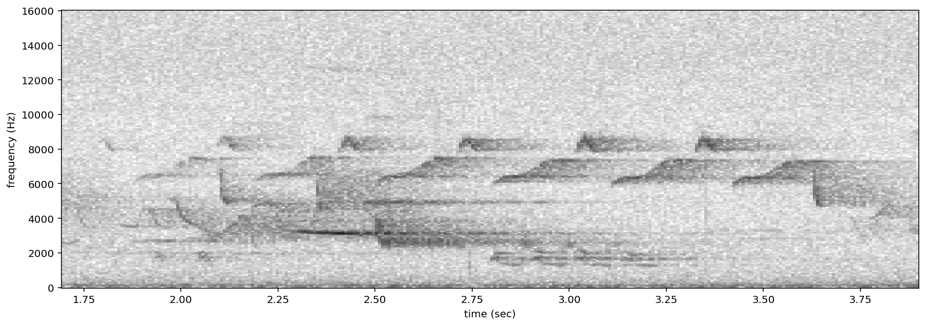 ../_images/tutorials_audio_and_spectrogram_89_0.png